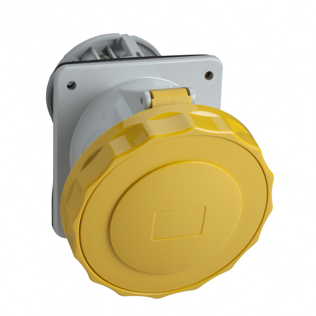 Schneider Pratika soclu înclinat montabil pe panou, 2P+F, 4h, 16A, 130V, IP67, cu șuruburi PKF16F713