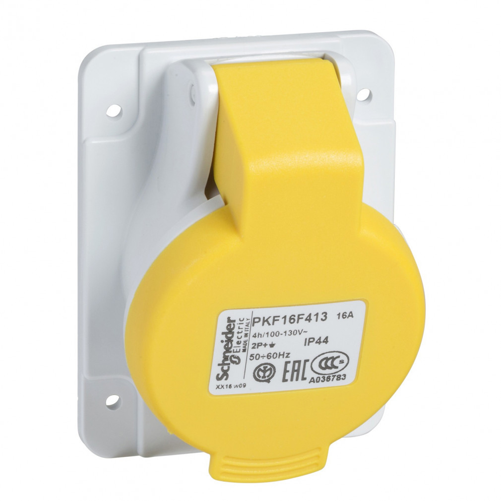 Schneider Pratika soclu înclinat pentru montare pe panou, 2P+F, 4h, 16A, 130V, IP44, cu șuruburi PKF16F413
