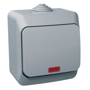   Schneider Electric Cedar Plus - WDE000614 - Întrerupător unipolar cu indicator luminos, IP44, gri