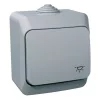 Schneider Electric Cedar Plus - WDE000613 - Întrerupător unipolar, cu indicator luminos, IP44, gri