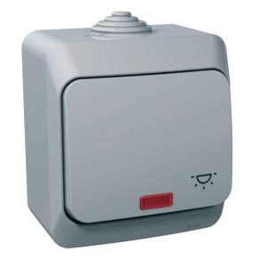   Schneider Electric Cedar Plus - WDE000616 - Buton cu un singur pol cu indicator luminos, IP44, gri