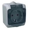 Schneider Electric Cedar Plus - WDE000643 - Priză 2P+E, cu obturator de siguranță, capac transparent, IP44, gri