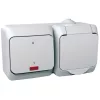 Schneider Electric Cedar Plus - WDE000503 - Priză 2P+F, cu întrerupător bipolar cu indicator luminos, IP44, alb