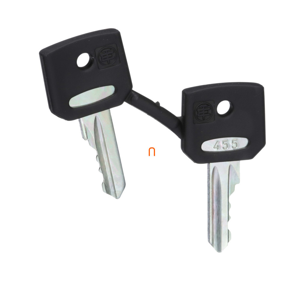 ZBG-455 Set de chei 455 tip. Schneider