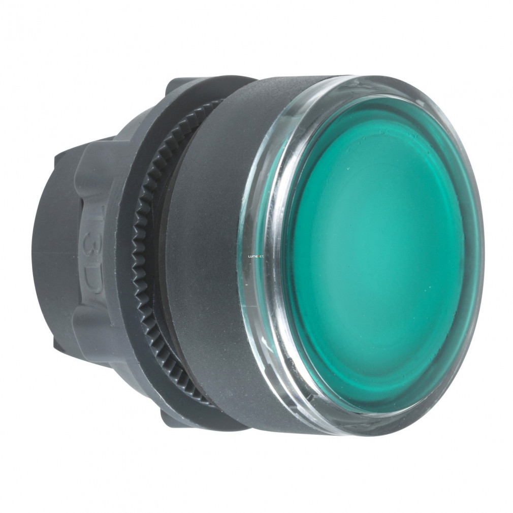 Cap de buton luminescent Schneider verde (ZB5-AH033)