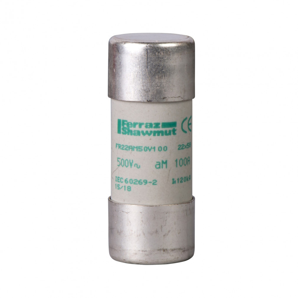 Schneider aM siguranza 22x58 100A (DF2FA100)