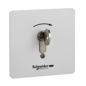   Schneider Electric Harmony XAP, XB2 SL - XAPS14221N - Carcasă de securitate incasabilă