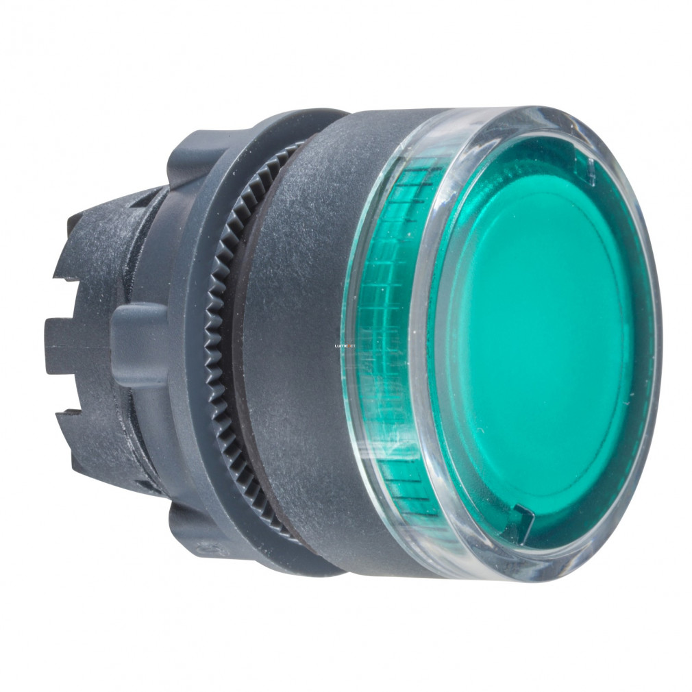 Cap buton luminos Schneider verde (ZB5-AW333)