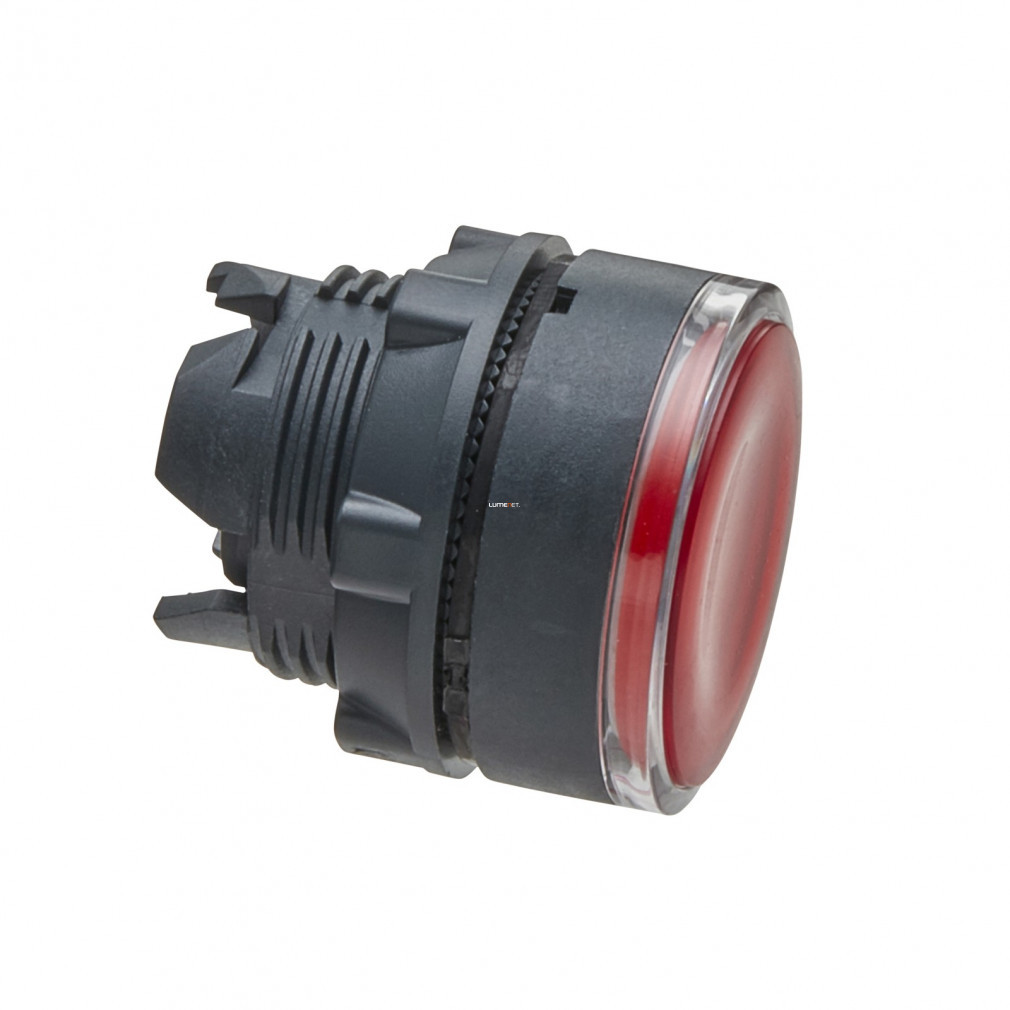 Cap de buton luminos Schneider roșu (ZB5-AW343)