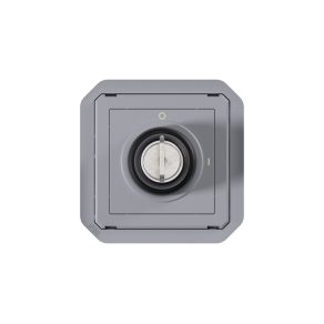 Întrerupător Legrand Plexo 55, 2 poziții, gri - 069534L