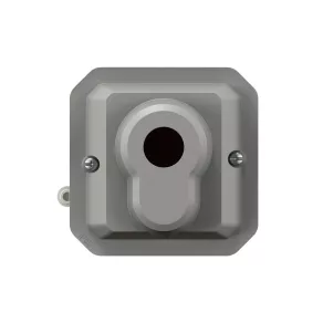   Întrerupător Legrand Plexo 55 cu cheie, 2 poziții, fără cheie, gri - 069706L