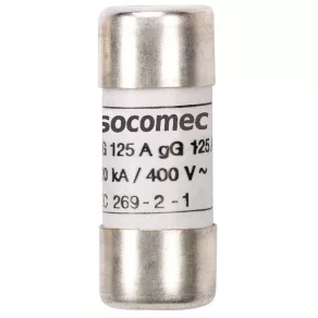   Carcasă de protecție FUS GG 10X38 6A SANS PERC 60120006 Socomec