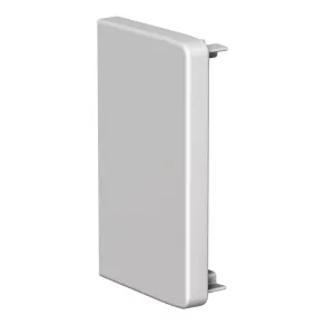   Schneider Electric OptiLine 45 - ISM10554 - capac de închidere 185x55 mm, aluminiu