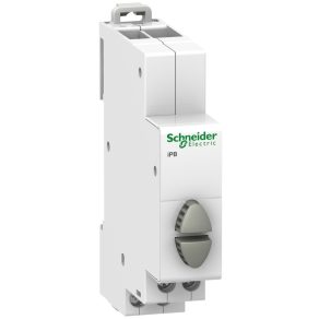   Schneider Electric Acti9 iPB - A9E18035 - buton dublu, 2NO, gri - gri