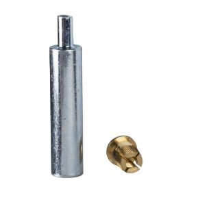   Schneider Electric Thalassa PLM - NSYTEX6 - Piuliță cu șurub M6 pentru poliesteri