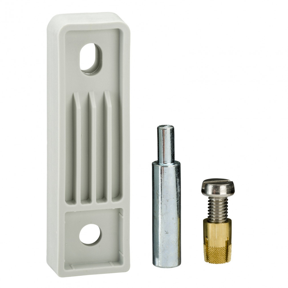 Set de fixare pe perete Schneider PFPLM NSYPFPLMG RAL7035