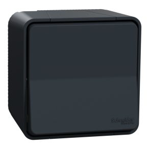   Schneider Electric Mureva Styl - MUR35021 - Comutator, complet (106), gri antracit