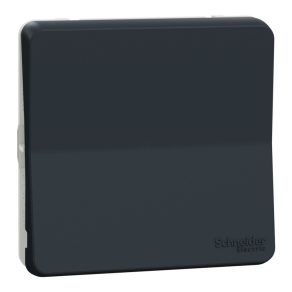   Schneider Electric Mureva Styl - MUR37021 - Comutator (106), gri antracit