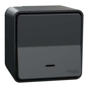   Schneider Electric Mureva Styl - MUR35024 - Comutator, cu indicator luminos (semnalizare sau control), complet, gri antracit