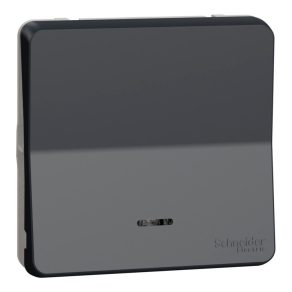   Schneider Electric Mureva Styl - MUR35025 - Comutator, cu indicator luminos (semnalizare sau control), gri antracit