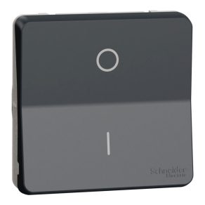   Schneider Electric Mureva Styl - MUR35034 - Întrerupător bipolar, 16 AX (102), gri antracit