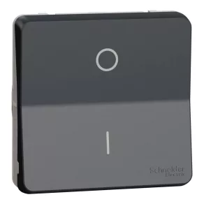   Schneider Electric Mureva Styl - MUR35034 - Întrerupător bipolar, 16 A (102), gri antracit