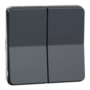   Schneider Electric Mureva Styl - MUR35019 - Întrerupător dublu (106+6), gri antracit