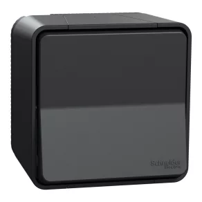   Schneider Electric Mureva Styl - MUR35026 - Comutator unipolar, set complet (101N), gri antracit