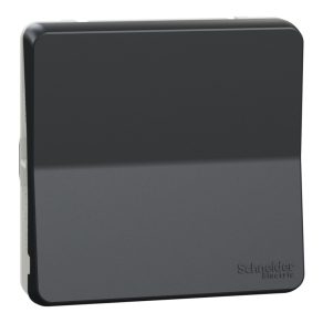   Schneider Electric Mureva Styl - MUR35027 - Buton cu un singur pol (101N), gri antracit