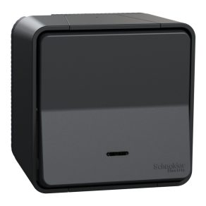   Schneider Electric Mureva Styl - MUR35028 - Buton cu un singur pol cu indicator luminos, complet, gri antracit