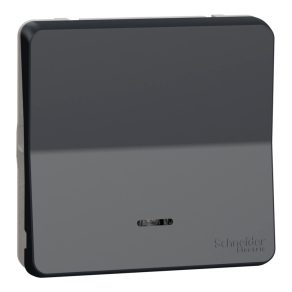   Schneider Electric Mureva Styl - MUR35127 - Buton cu un singur pol cu indicator luminos, gri antracit