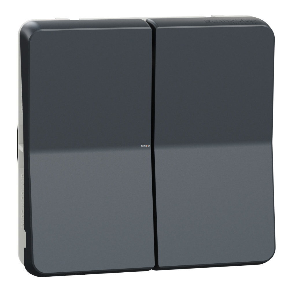 Schneider Mureva dublu presor, antracit (Styl)