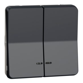   Schneider Electric Mureva Styl - MUR35228 - Buton dublu cu indicator luminos, gri antracit