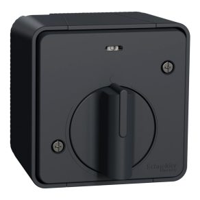   Schneider Electric Mureva Styl - MUR35067 - Comutator mecanic de timp, complet, gri antracit