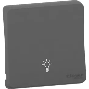   Schneider Electric Mureva Styl - MUR34202 - Buton cu indicator luminos, gri antracit