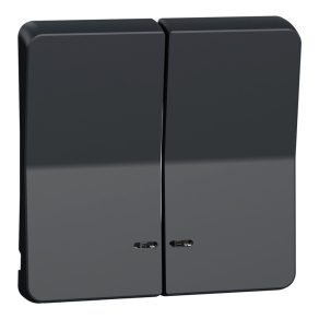   Schneider Electric Mureva Styl - MUR34205 - Cheie dublă, indicator luminos, gri antracit