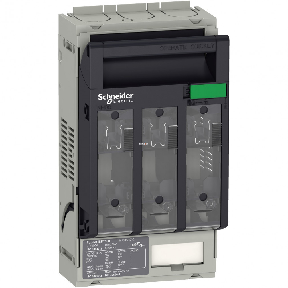 Schneider ISFT160 întrerupător cu siguranță termică 2,5 TO 95 mm (LV480802)