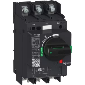   Schneider Electric TeSys - GV4L115B6 - Protector magnetic pentru motor GV4L 115 A, 25 kA, cu prindere cu șurub și clemă
