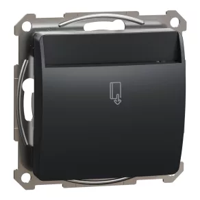   Schneider Electric Sedna Design & Elements - SDD114121E - Întrerupător cu placă cu temporizare, racordare cu șuruburi, 8 A, antracit