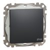 Schneider Electric Sedna Design & Elements - SDD214106 - Comutator, conexiune cu arc, 10AX, IP44, antracit