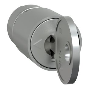   Schneider Electric PrismaSeT - LVS07940 - Tip inserție încuietoare cu cheie: 405