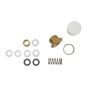   Schneider Electric Globe Valves and Actuators - 0626-9-310 - Set de reparație pentru supape