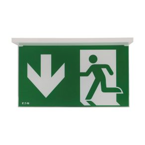   Panou cu pictograme LED Eaton nexitech 30 d-d iso lite, -nexi-plexl-dd