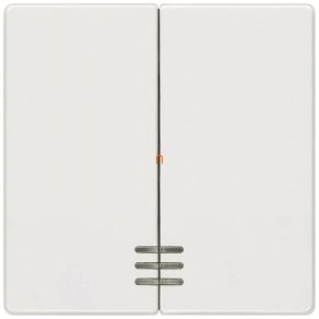   Cheie pentru candelabru Siemens 5TG6204, cu indicator luminos, alb titan (RAL9010), DELTA i-system