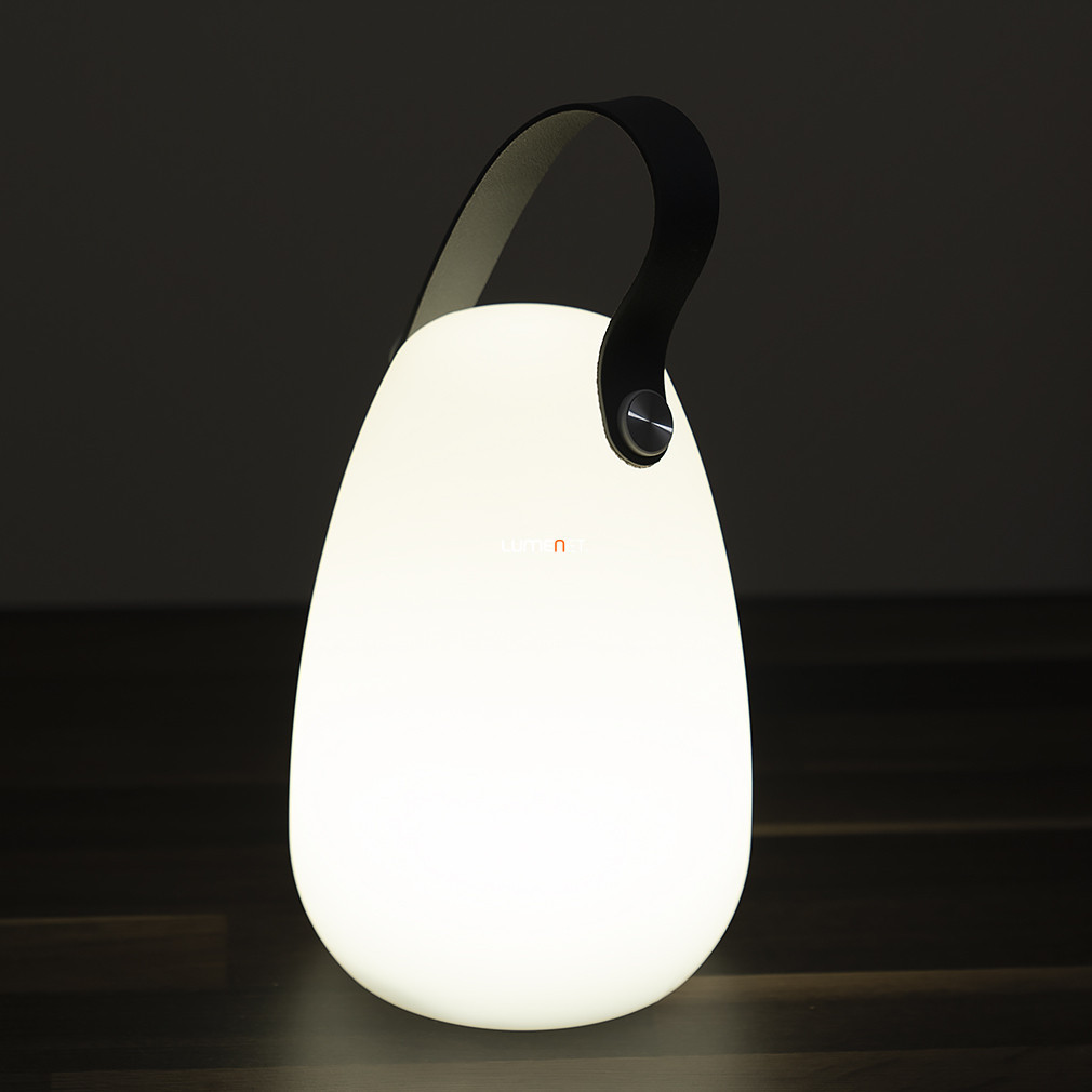 Lampa decorativă LED de masă, colorată, 19 cm - GAO 7222H, cu baterie, USB, rezistentă la stropi, portabilă, cu cârlig, 130 lm, 0,8 W