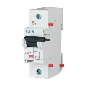 Versiunea actuală a lucrării Eaton, z-bhasa/24-248444