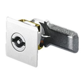 Încuietoare pentru ușă Rittal 2420.000