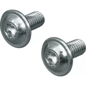Șurub Rittal 2504.500 SZ TORX, M6x12, 300 buc./cutie.
