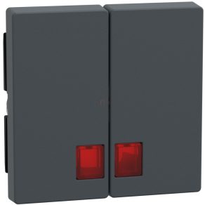   Schneider Merten Cheie dublă, ferestre indicatoare roșii, System-M, antracit MEG3456-0414