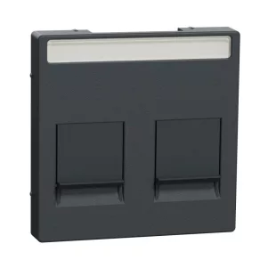   Schneider Electric Merten System-M MEG4564-0414 capac pentru 2 prize modulare RJ45, personalizabil, antracit